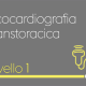 Mandragora "ecocardiografia transtoracica Livello 1" 7 novembre 2022