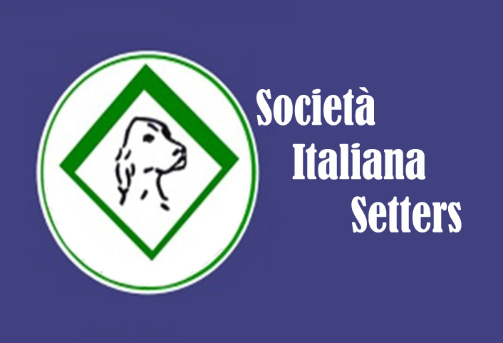 assemblea sis