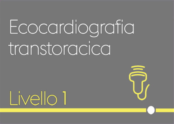 Mandragora "ecocardiografia transtoracica Livello 1" 7 novembre 2022